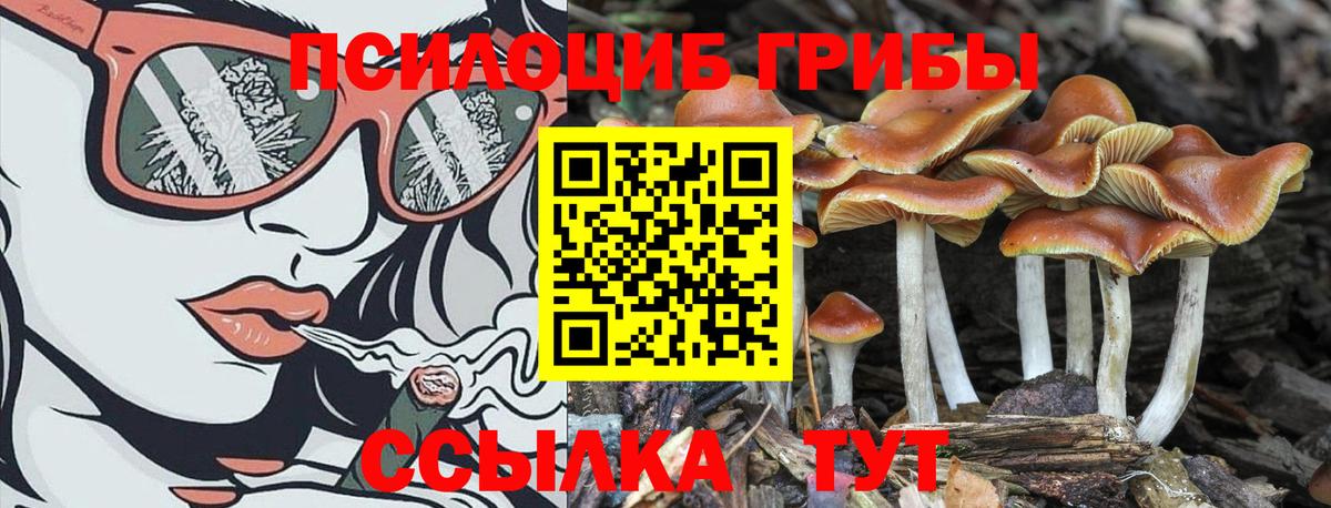 Псилоцибиновые грибы мицелий Солнечногорск
